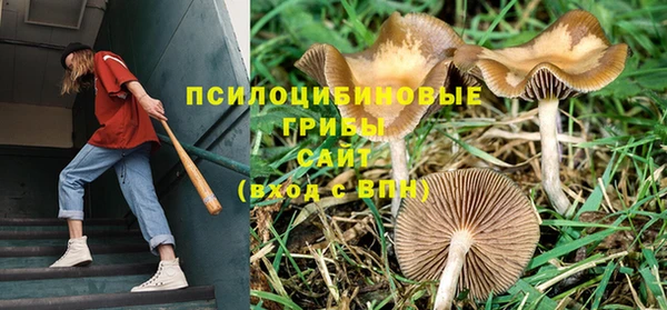 каннабис Магас