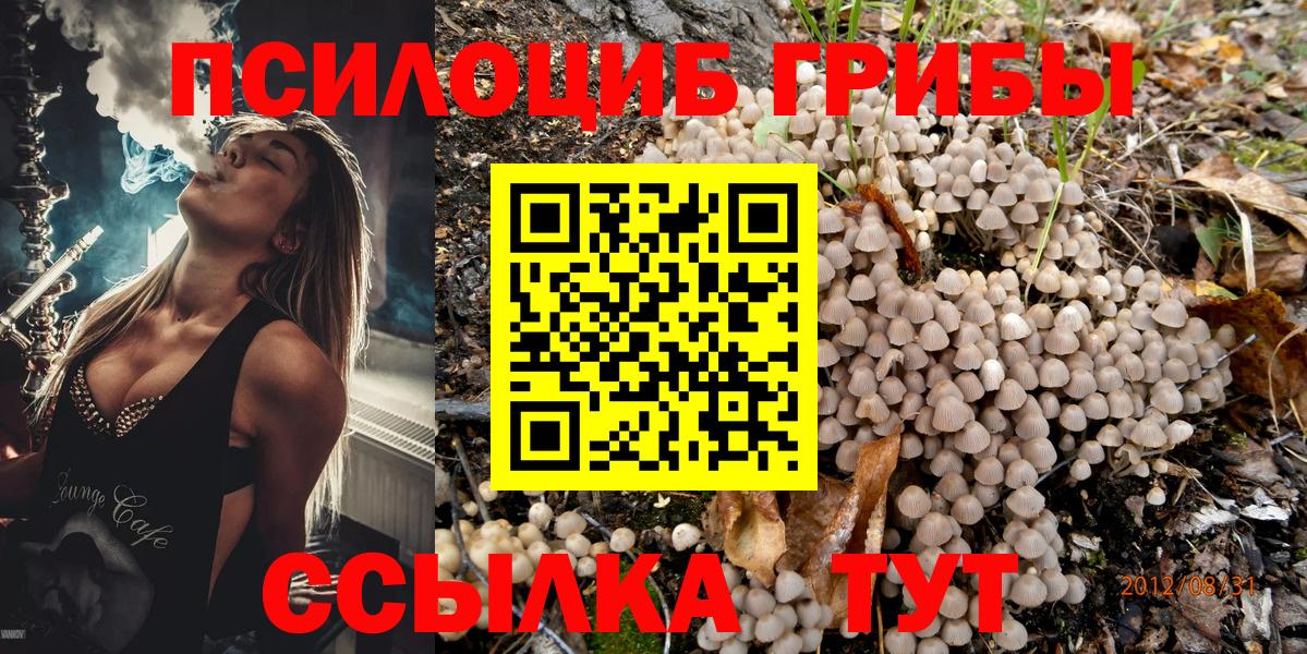 Псилоцибиновые грибы мухоморы  купить наркоту  Туапсе  Галлюциногенные грибы ЛСД  Вход с VPN 